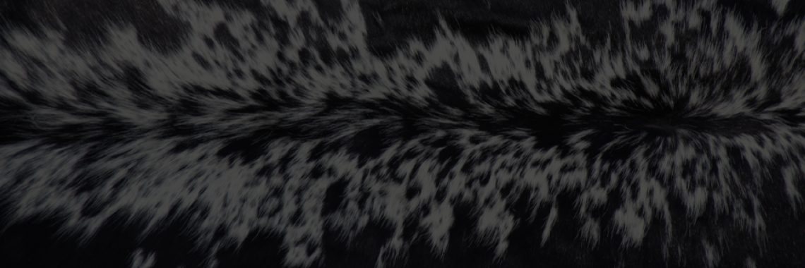 Carmen-seele-independent-attorney-nottingham-road-independent-attorney-hilton-independent-attorney-pietermaritzburg-independent-attorney-howick-independent-attorney-property-law-independent-attorney-commercial-law-independent-attorney-compliance-and-risk-management-independent-attorney-commercial-law-independent-attorney-notarial-documents-independent-attorney-antenuptial-agreements-independent-attorney-wills-and-trusts-independent-attorney-property-conveyancing-nottingham-road- property-conveyancing-hilton- property-conveyancing-howick- property-conveyancing-pietermaritzburg-midlands-property-conveyancer-midlands-property-conveyancing-natal-midlands-property-conveyancer